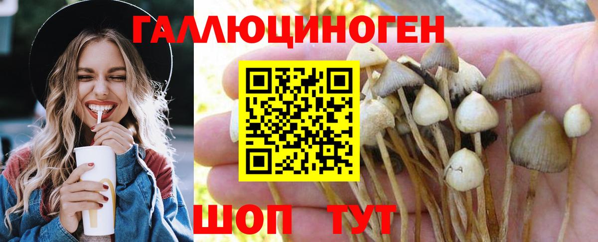 Псилоцибиновые грибы мицелий Химки
