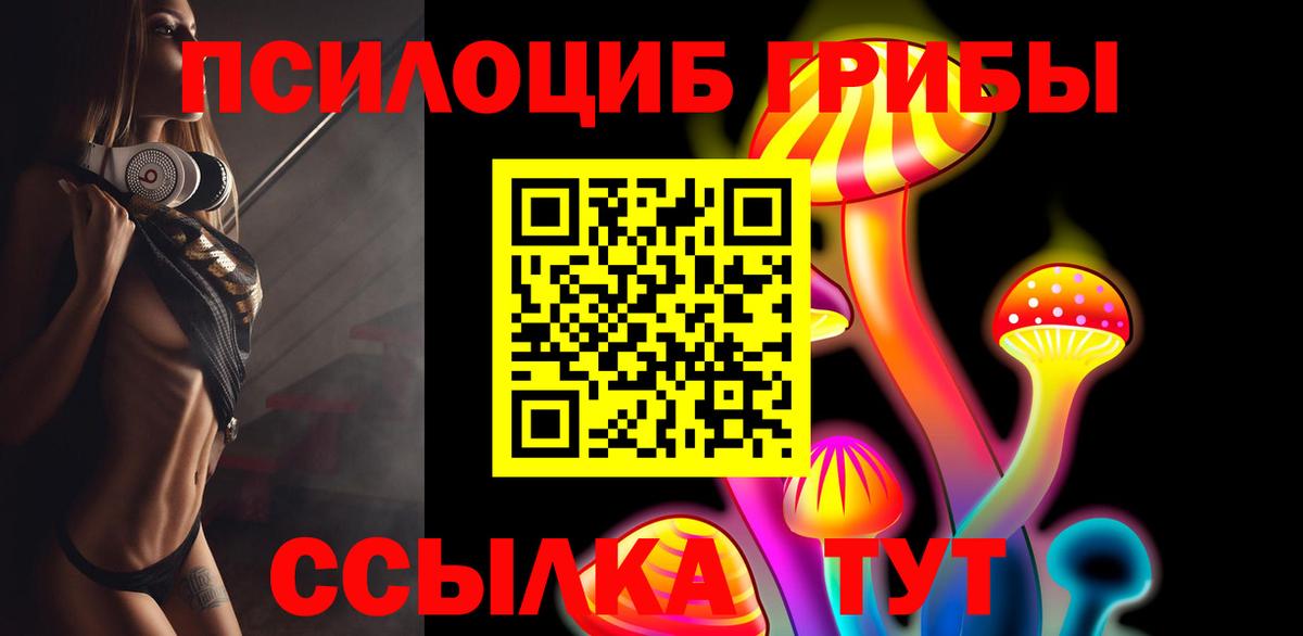 Химки  Псилоцибиновые грибы Psilocybe  Вход с VPN 